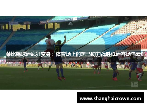 莱比锡球迷疯狂变身：体育场上的黑马助力战胜低迷客场乌云